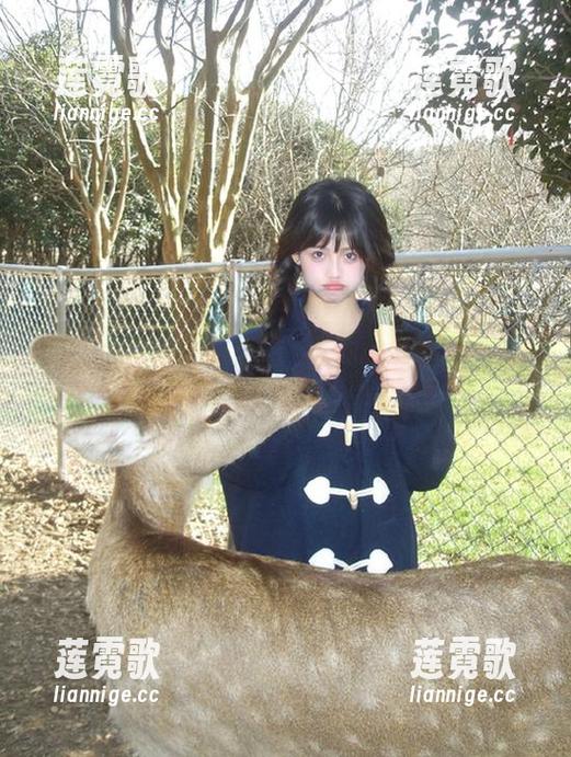 51cg 你也想直达“51cg1.com”的秘密花园吗?小心别迷路哦~