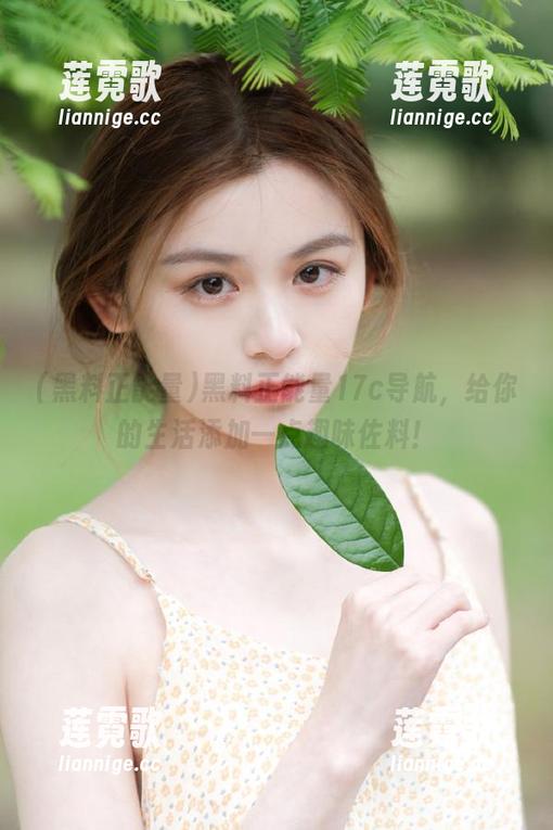 黑料正能量17c导航，给你的生活添加一点趣味佐料！